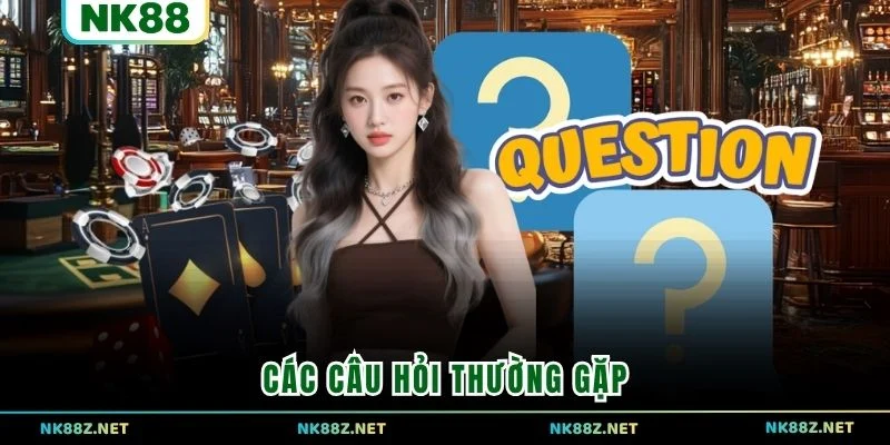 Các câu hỏi thường gặp 