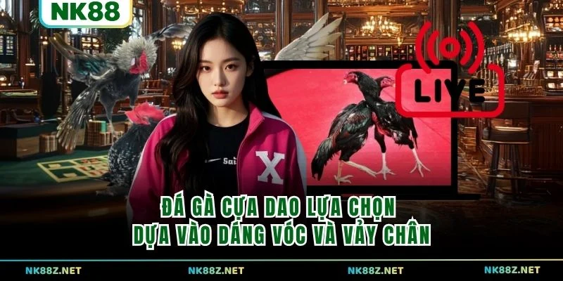 Đá gà cựa dao lựa chọn dựa vào dáng vóc và vảy chân