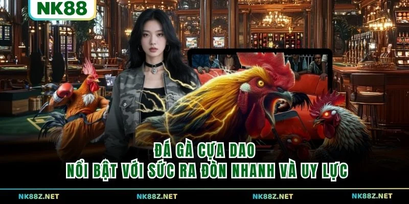 Đá gà cựa dao nổi bật với sức ra đòn nhanh và uy lực 
