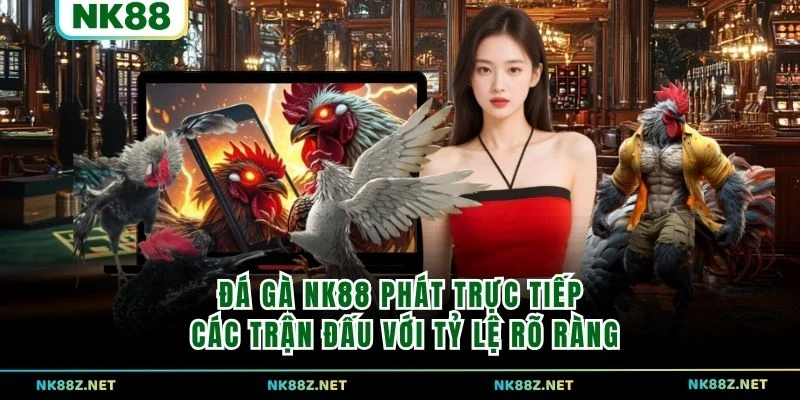 Đá gà NK88 phát trực tiếp các trận đấu với tỷ lệ rõ ràng