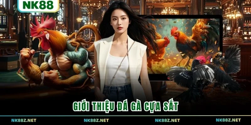 Giới thiệu đá gà cựa sắt