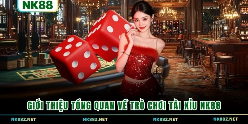 Giới thiệu tổng quan về trò chơi Tài Xỉu NK88