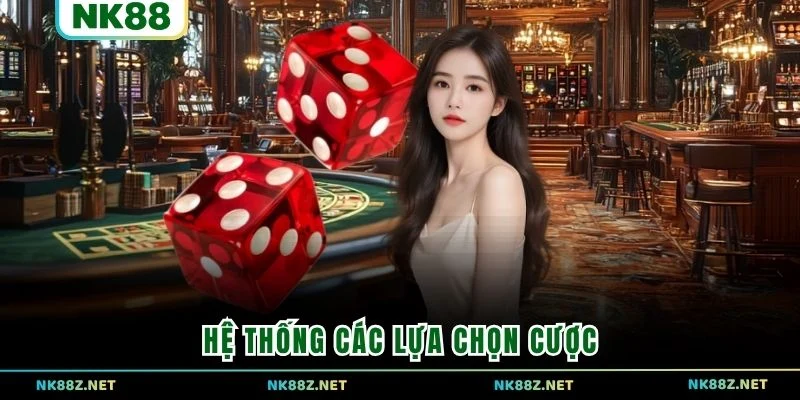 Hệ thống các lựa chọn cược