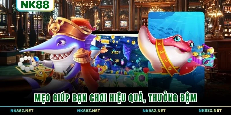 Mẹo giúp bạn chơi hiệu quả, thưởng đậm
