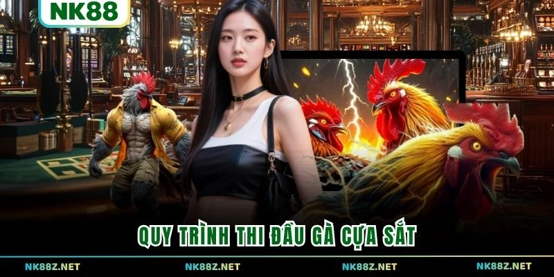Quy trình thi đầu gà cựa sắt 